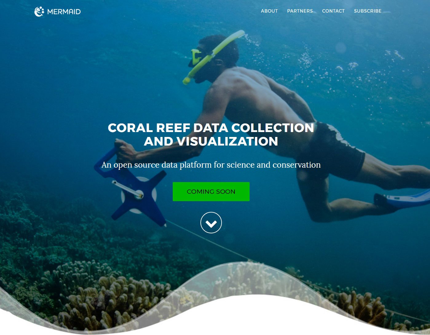 mermaid-screenshot