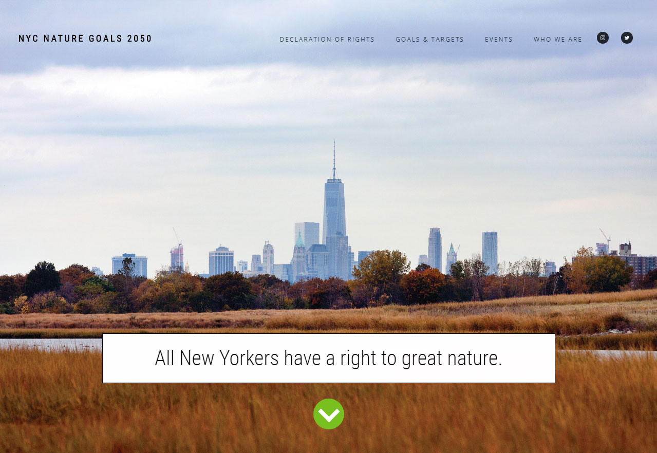 nyc-nature-goals-2020-screenshot1